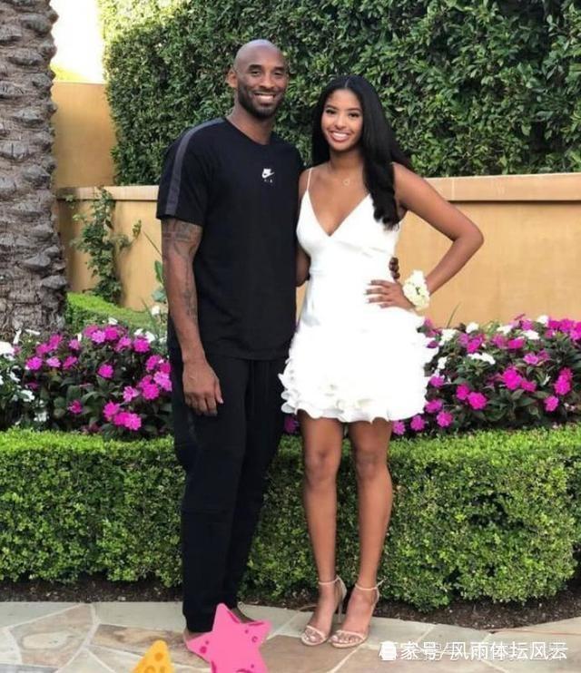 的防守结构 的防守结构